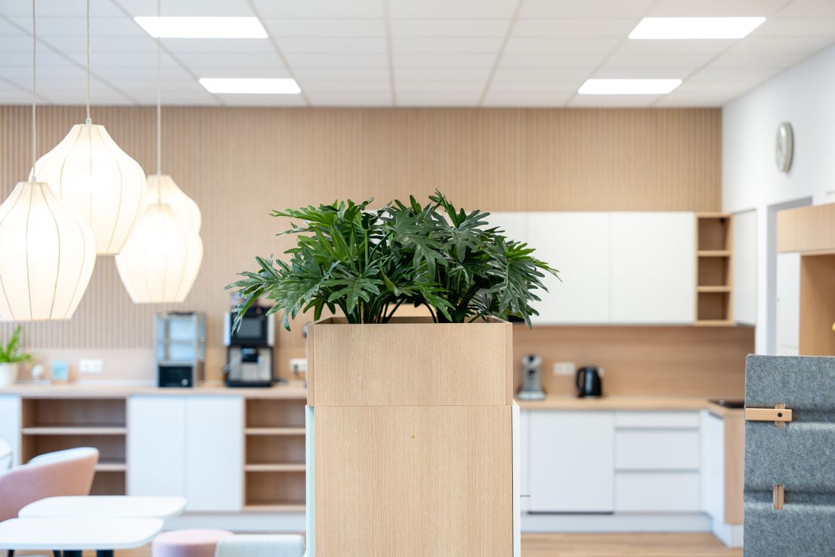 Die neue Lehrerlounge - ein Ort zum Ankommen, Erholen und zum Austausch im Kollegium.